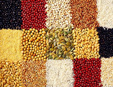 陜西農(nóng)產(chǎn)品市場(chǎng)詳情咨詢(xún)