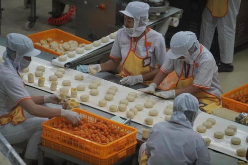 越南一現(xiàn)代化食品廠,還用人海戰(zhàn)術(shù),不過(guò)做出的榴蓮餅真好吃