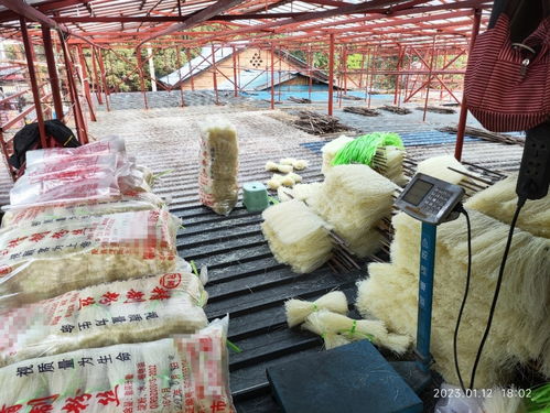 食品生產(chǎn)許可證過(guò)期 四川攀枝花一粉絲廠將生產(chǎn)日期改到半年前被查