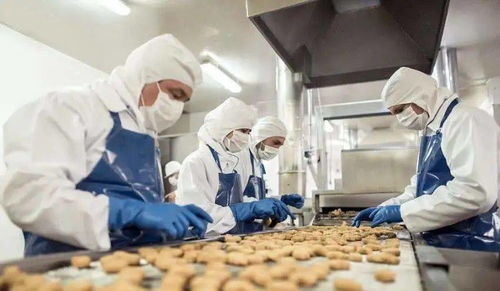 想去高薪工廠上班,這些你知道嗎